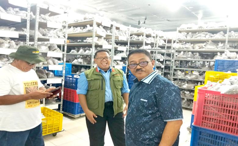 Pastikan Kualitas Benih, Bupati Rum Pagau Kunjungi PT Sampoerna Agro Palembang